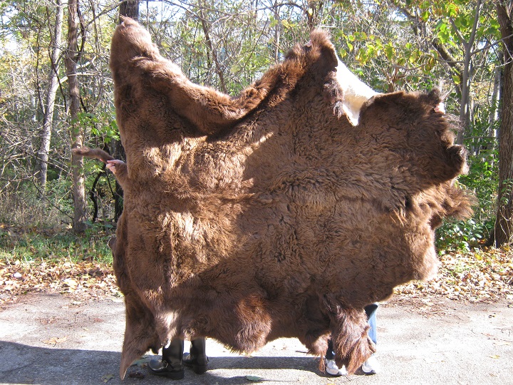 Buffalo Hides or Buffalo Skins or Buffalo Robes or Tanned Buffalo