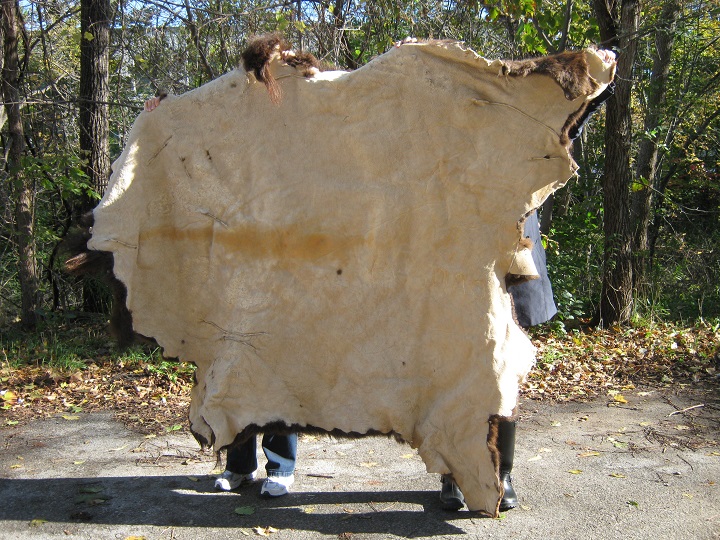 Buffalo Hides or Buffalo Skins or Buffalo Robes or Tanned Buffalo