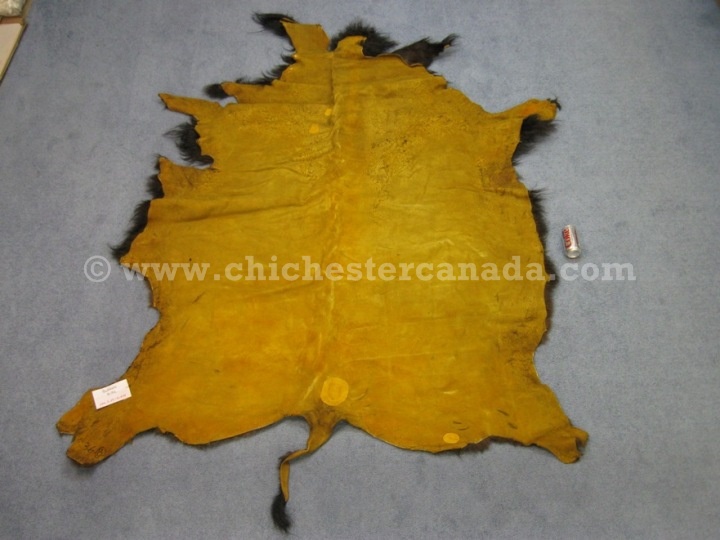 Buffalo Hides or Buffalo Skins or Buffalo Robes or Tanned Buffalo