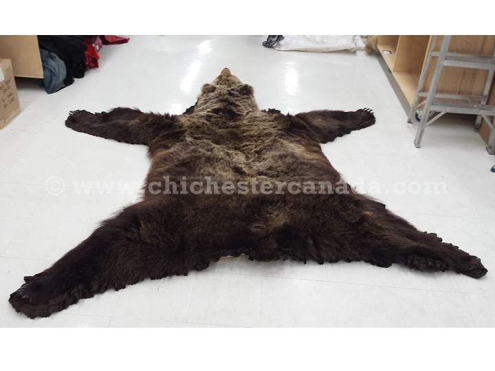Grizzly Bear Hides, Grizzly Bear Skins, Grizzly Bear Rugs