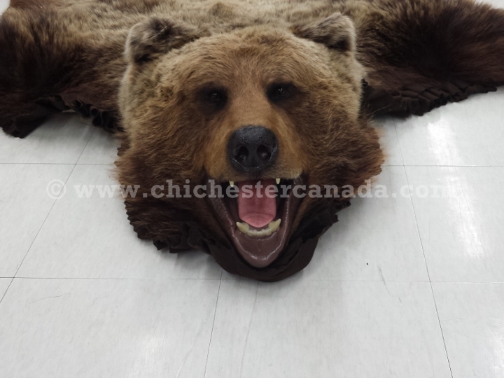 Grizzly Bear Hides, Grizzly Bear Skins, Grizzly Bear Rugs