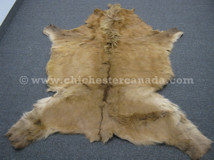 Icelandic Horse Hides, Horse Skins from Iceland, Horse Rugs