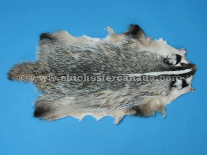 Badger Skins, Badger Hides, Badger Pelts