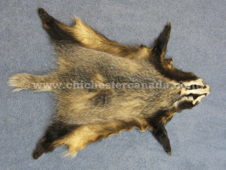 Badger Skins, Badger Hides, Badger Pelts