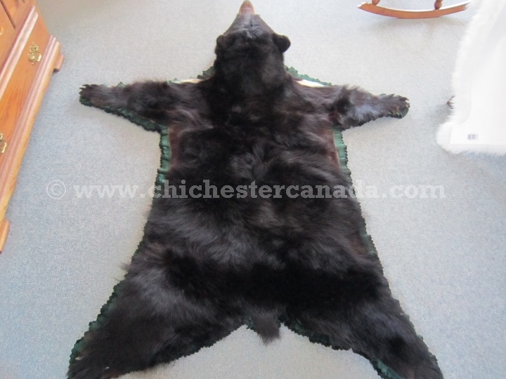 Black Bear Rugs Or Bearskins Fur, How Much Is A Bear Skin Rug Worth