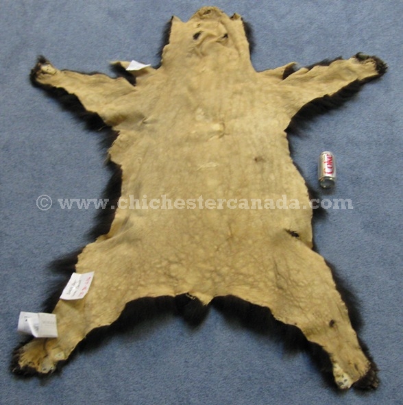 Black Bear Skins Tanned And Rugs Or Bearskins Fur - How To Hang A Bear Skin Rug On The Wall