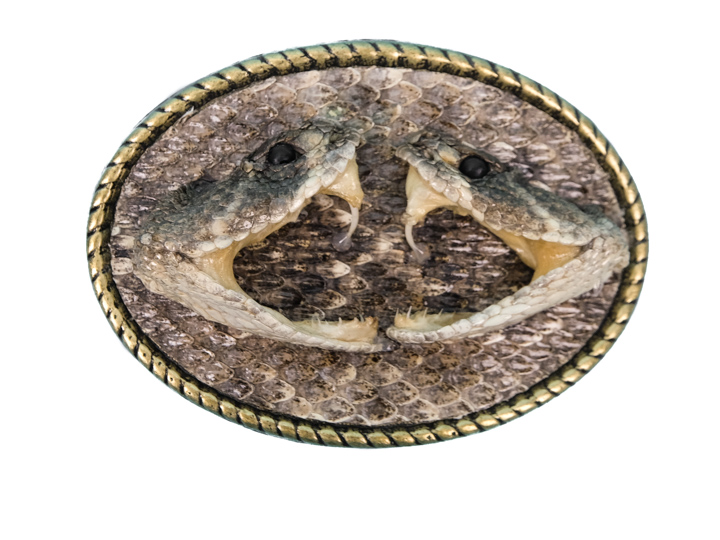 Rattlesnake Hat Bands 