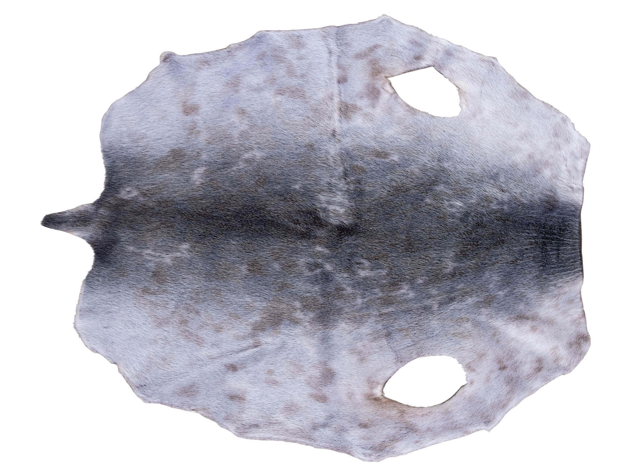 Seal Skins